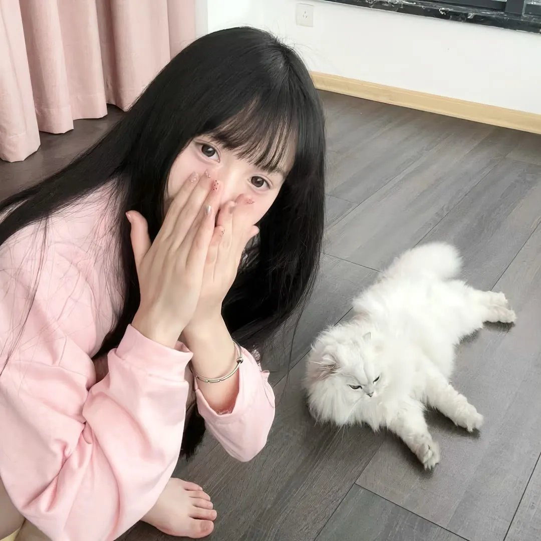 风流情种